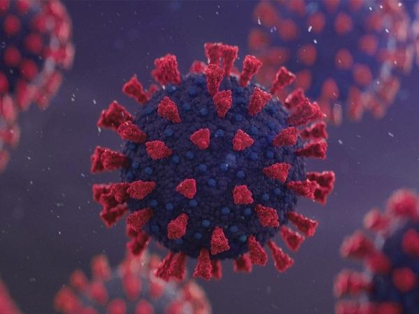 Омикрон: что известно о новом штамме коронавируса традиционной китайской медицине