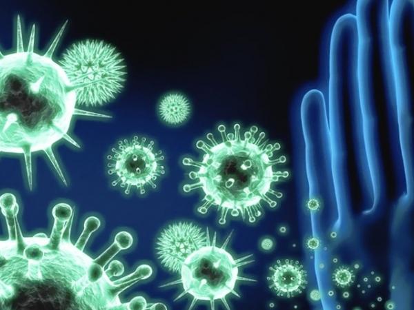 Онлайн-форум «Ковид и свиной грипп китайская медицина победит»